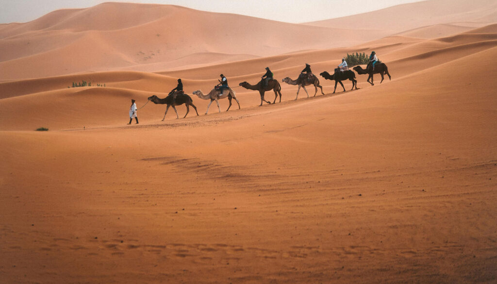 vita nel deserto Bir Tawil, desierto de Bir Tawil